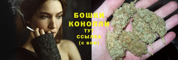 МДПВ Красноперекопск