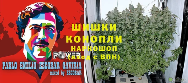 МДПВ Красноперекопск
