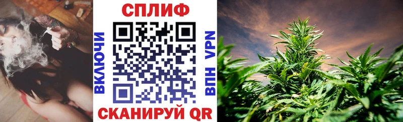 Купить закладки  Сельцо  Каннабис гибрид 